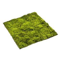 MANTA MUSGO VERDE CLARO 100X100CM
