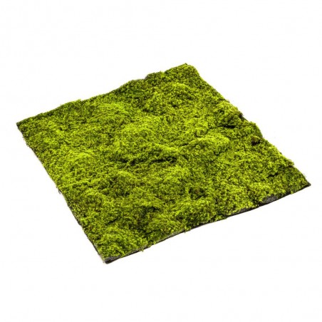 MANTA MUSGO VERDE CLARO 100X100CM