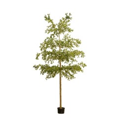 ARBOL BUCIDA 390CM