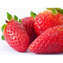 FRESA