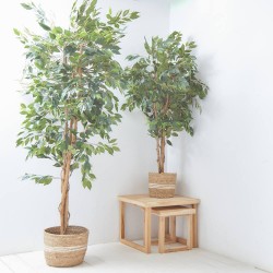 ÁRBOL ARTIFICIAL FICUS RETUSA