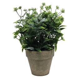 PLANTA VERDE 26CM MACETA