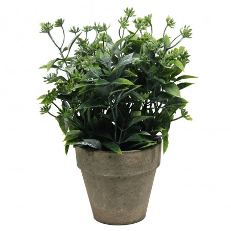 PLANTA VERDE 26CM MACETA