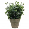 PLANTA VERDE 26CM MACETA