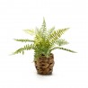 PINO ARTIFICIAL 26CM MACETA RUSTICA