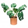 MONSTERA ARTIFICIAL TUTOR 60 CM MACETA 