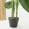 STRELITZIA ARTIFICIAL 100CM MACETA