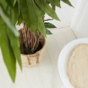 ARBOL ARTIFICIAL MANGO 180CM