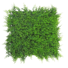 JARDÍN VERTICAL HELECHO 50X50