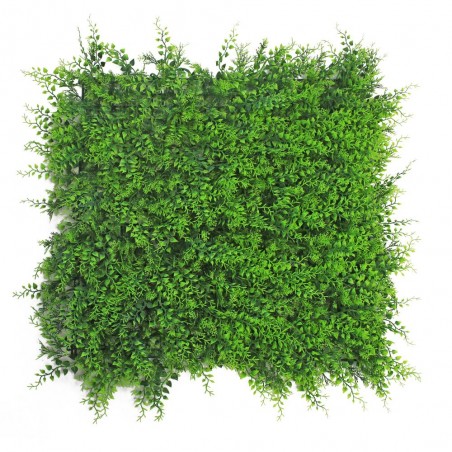 JARDÍN VERTICAL HELECHO 50X50