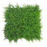 JARDÍN VERTICAL HELECHO 50X50