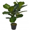 FICUS LYRATA ARTIFICIAL