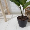 FICUS LYRATA ARTIFICIAL