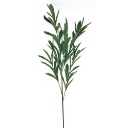 OLIVO TALLO VERDE 90CM