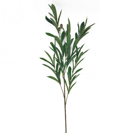 OLIVO TALLO VERDE 90CM