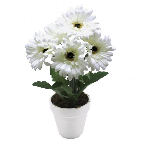 GERBERA BLANCA MACETA 36CM