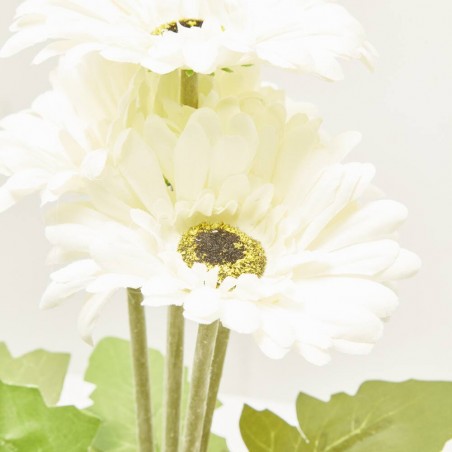 GERBERA BLANCA MACETA 36CM