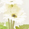 GERBERA BLANCA MACETA 36CM