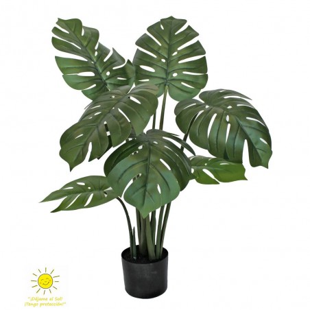 MONSTERA EXTERIOR 90H