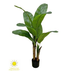 PLATANERO EXTERIOR 120CM