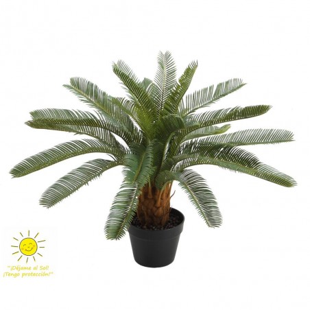 CYCAS 70CM EXTERIOR
