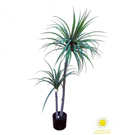 YUCCA X2 120CM EXTERIOR