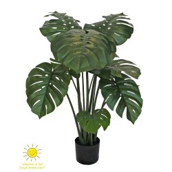 MONSTERA EXTERIOR 120H