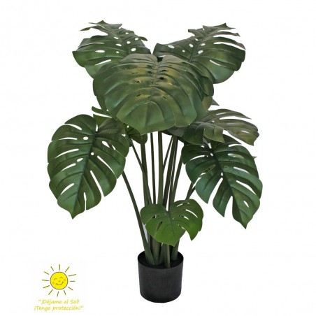 MONSTERA EXTERIOR 120H