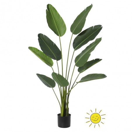 ESTERLICIA EXTERIOR 160H