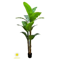 PLATANERO EXTERIOR 200CM