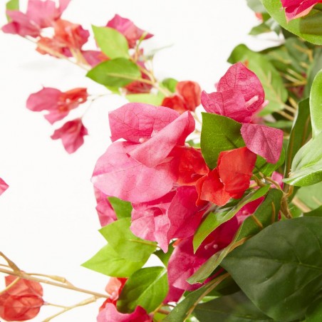 BOUGANVILLA EXTERIOR FUCSIA 150CM
