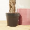 BOUGANVILLA EXTERIOR FUCSIA 150CM