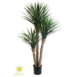 YUCCA X3 150CM EXTERIOR