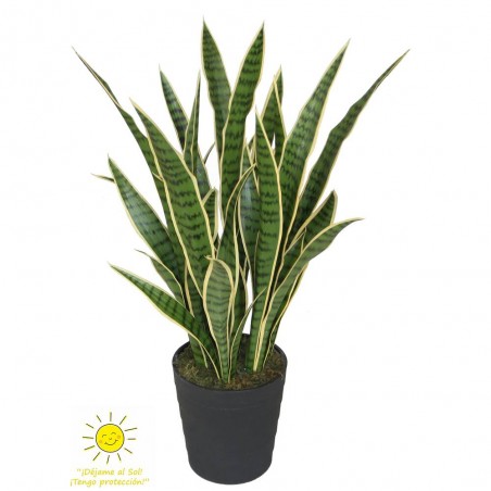 SANSEVIERIA 87CM EXTERIOR