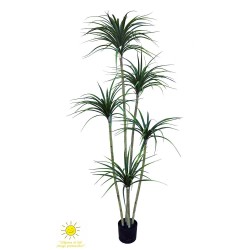 YUCCA X5 200CM EXTERIOR