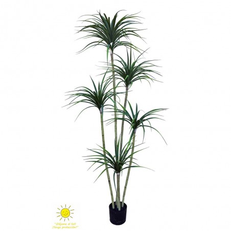 YUCCA X5 200CM EXTERIOR