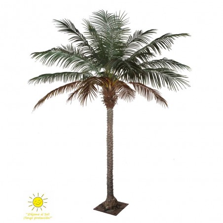 PALMERA PHOENIX 270CM EXTERIOR