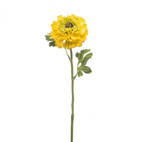 RANÚNCULO AMARILLO 60CM TALLO