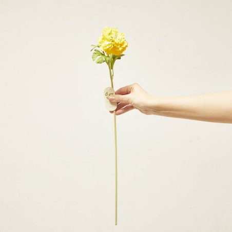 RANÚNCULO AMARILLO 60CM TALLO