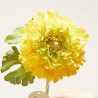 RANÚNCULO AMARILLO 60CM TALLO