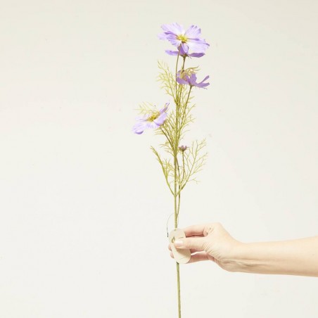 COSMOS MORADO 75CM TALLO