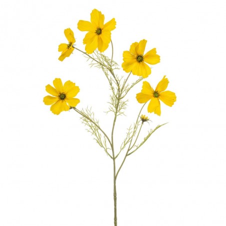 COSMOS AMARILLO 75CM TALLO