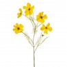 COSMOS AMARILLO 75CM TALLO