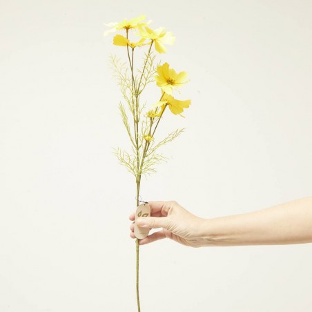 COSMOS AMARILLO 75CM TALLO