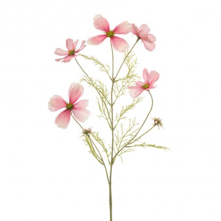 COSMOS ROSA 75CM TALLO