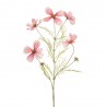 COSMOS ROSA 75CM TALLO