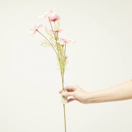 COSMOS ROSA 75CM TALLO