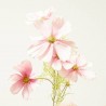COSMOS ROSA 75CM TALLO