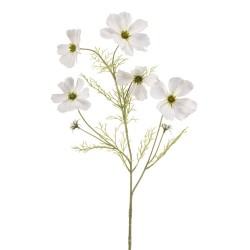 COSMOS BLANCO 75CM TALLO