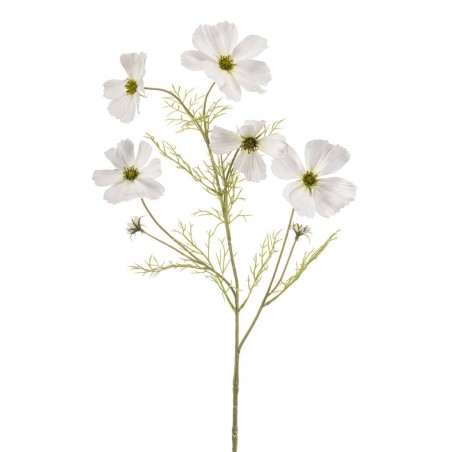 COSMOS BLANCO 75CM TALLO